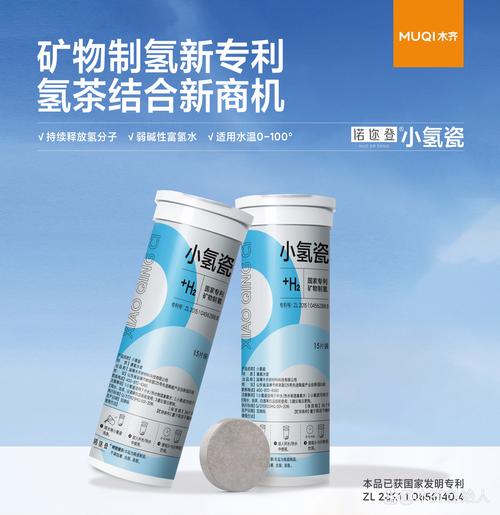 固态氢实验室 探索储释氢新材料与生物相容性的前沿阵地